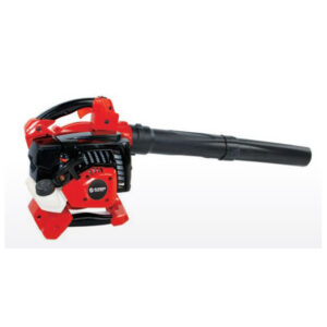 SOFFIATORE ASPIRATORE BLUEBIRD BLV 281
